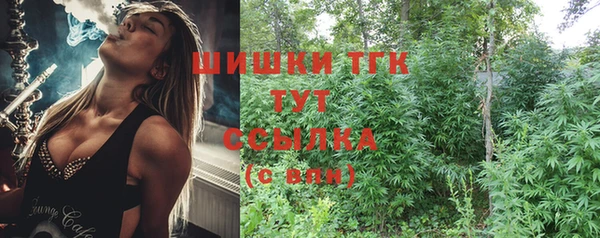 амф Щигры