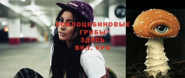 гашик Балабаново