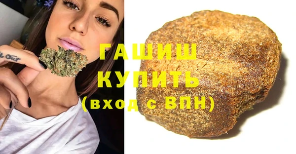 амф Щигры