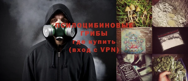 шишки Балахна
