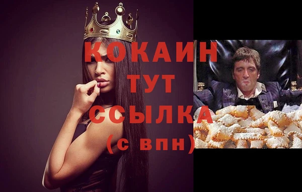 шишки Балахна