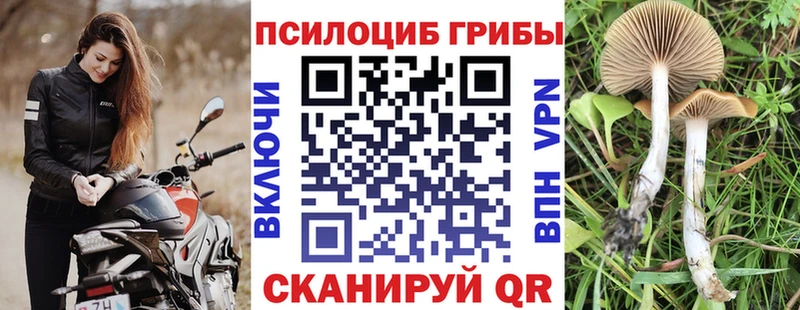Псилоцибиновые грибы GOLDEN TEACHER  Тамбов 