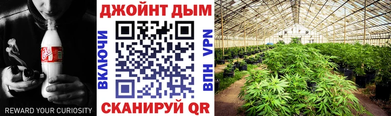 Каннабис ГИДРОПОН  гидра как зайти  Тамбов 